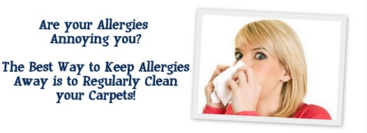 Carpet Cleaning Reston, VA