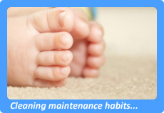 Reston, VA Carpet Cleaning
