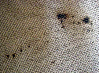 Spot & Stain Removal Reston, VA