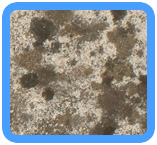 Reston, VA Water Damage Restoration